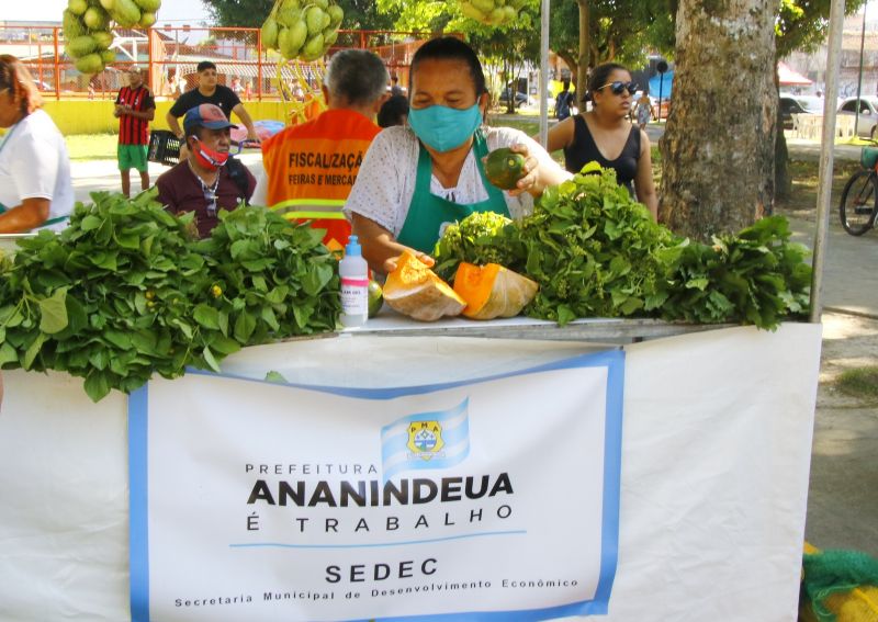 Visita a Feira do Agricultor Familiar na Praça da Cidade Nova VIII