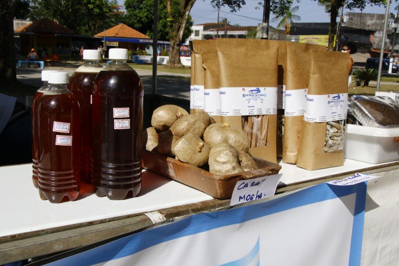 Visita a Feira do Agricultor Familiar na Praça da Cidade Nova VIII