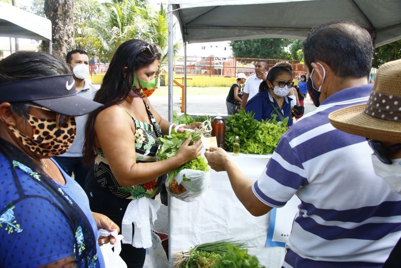 Visita a Feira do Agricultor Familiar na Praça da Cidade Nova VIII