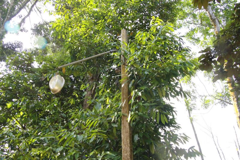 Ato de Assinatura de Ordem de Serviço para Revitalização dos Bosques Marajoara e Uirapurú no conjunto Julia Seffer