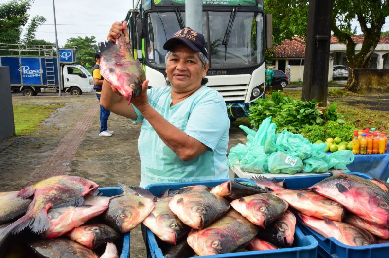 Doação de peixes nos CRAS de Ananindeua