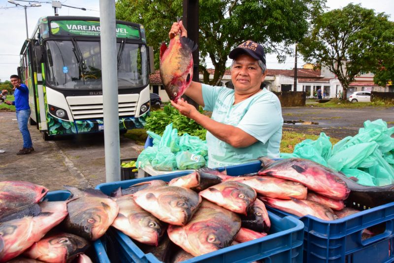 Doação de peixes nos CRAS de Ananindeua