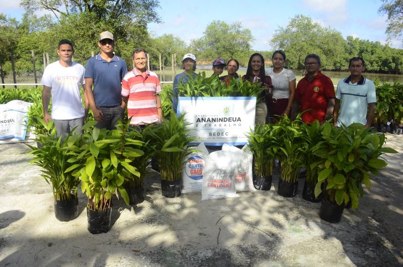 Entrega de 20 Mil Mudas Frutíferas de Açaí, Cacau e Cupuaçu e 100 Toneladas de Adubo Calcário para Produtores Rurais de Ananindeua