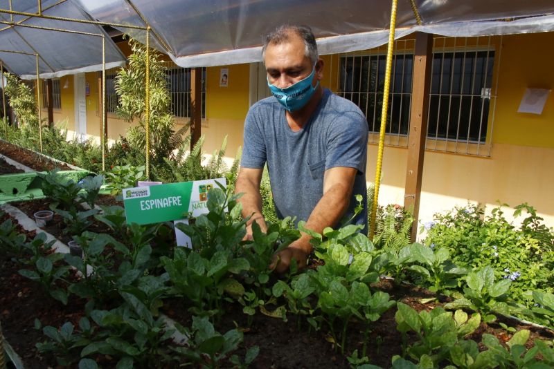 Horta na Escola Machado de Assis no bairro Guanabara