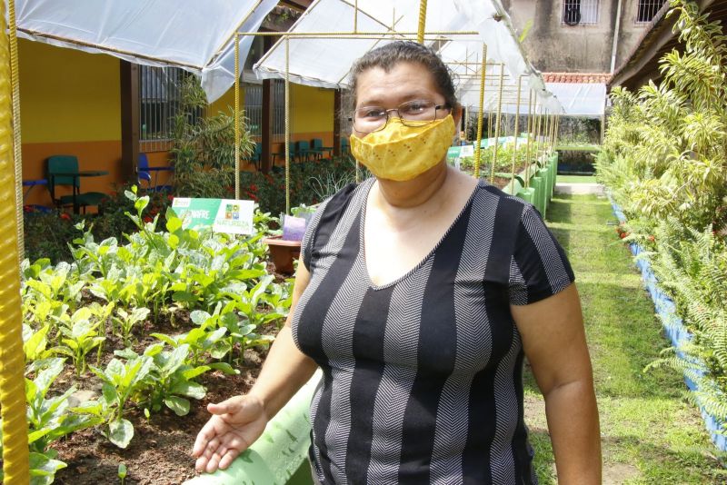 Horta na Escola Machado de Assis no bairro Guanabara