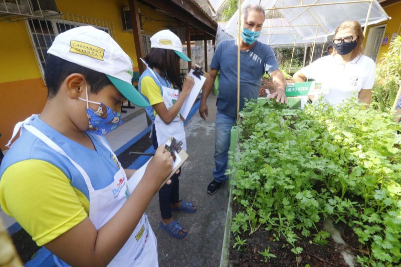 Horta na Escola Machado de Assis no bairro Guanabara