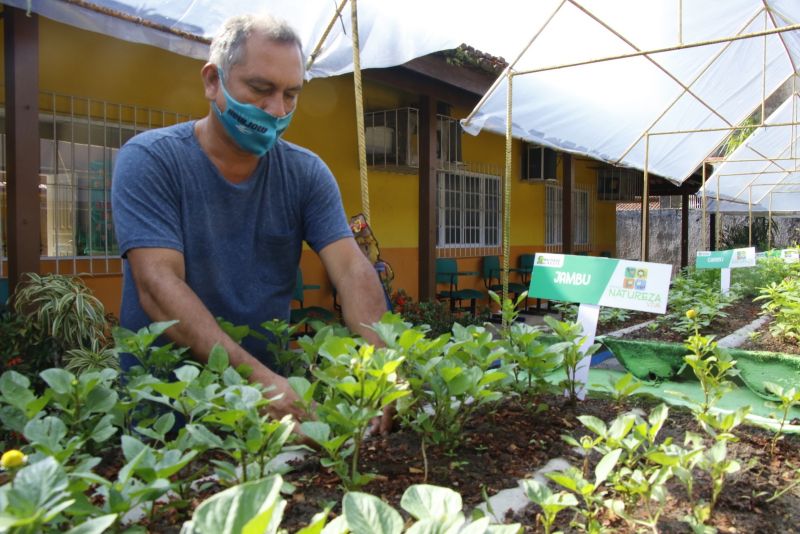 Horta na Escola Machado de Assis no bairro Guanabara