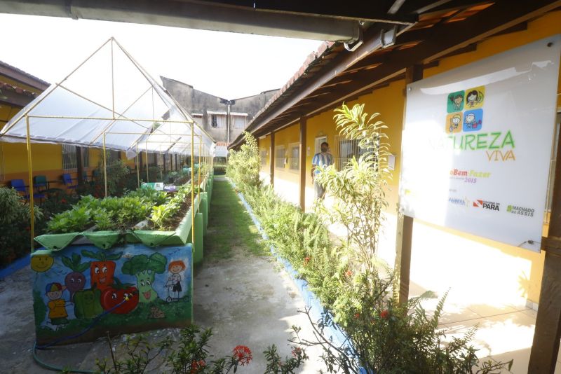 Horta na Escola Machado de Assis no bairro Guanabara