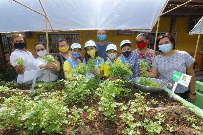 Horta na Escola Machado de Assis no bairro Guanabara