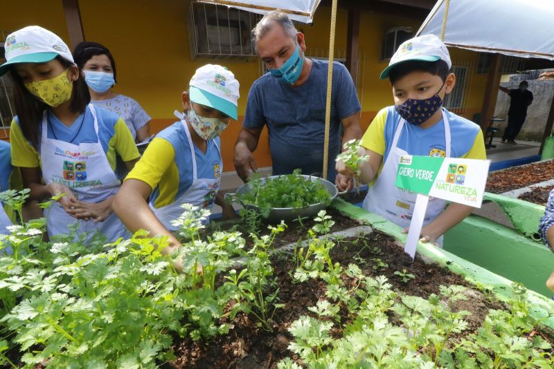 Horta na Escola Machado de Assis no bairro Guanabara