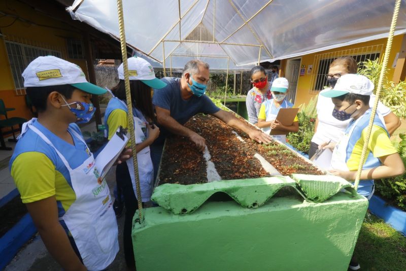 Horta na Escola Machado de Assis no bairro Guanabara