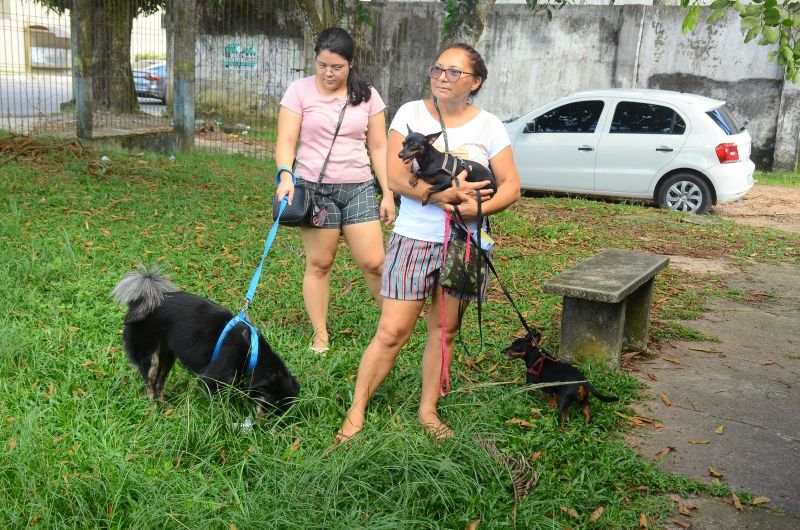 Campanha de Vacinação dos Pets em Ananindeua