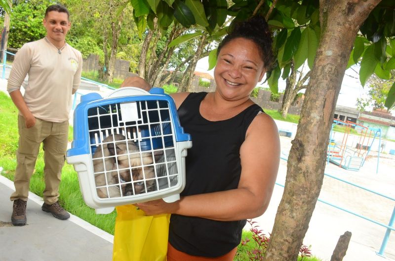 Campanha de Vacinação dos Pets em Ananindeua