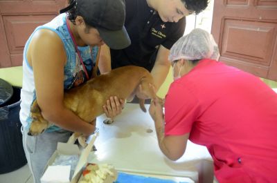 galeria: Castramóvel na Paróquia São José Operário no Conjunto Carnaúba bairro Icuí Guajará