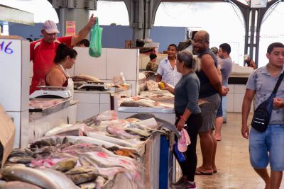 galeria: Feira da Cidade Nova IV