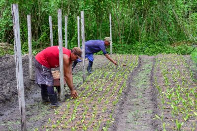 galeria: Imagens de Apoio de Agricultores e do secretario Pedro Soares