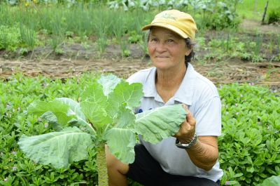 galeria: Produção Rural