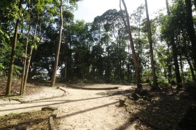 galeria: Ato de Assinatura de Ordem de Serviço para Revitalização dos Bosques Marajoara e Uirapurú no conjunto Julia Seffer