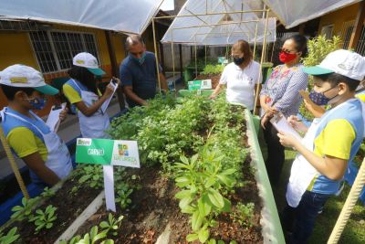 galeria: Horta na Escola Machado de Assis no bairro Guanabara