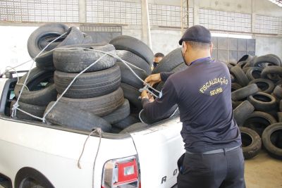 galeria: Mutirão de Recolhimento de Pneus