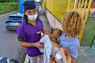 galeria: Castra Móvel na Escola Irmã Nair Bezerra da Trindade no bairro Guanabara