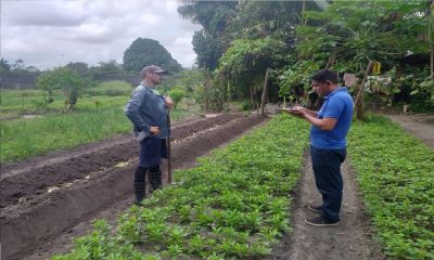 notícia: Agricultores familiares do Curuçambá recebem mais apoio técnico da Sedec