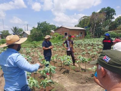 notícia: Ananindeua participa de treinamento para Programa Território Sustentável