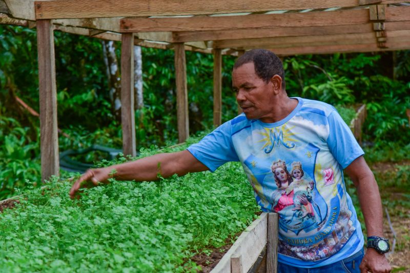 Imagens de apoio de produtores rurais do Quilombo do Abacatal, no Programa Territórios Sustentáveis em Ananindeua