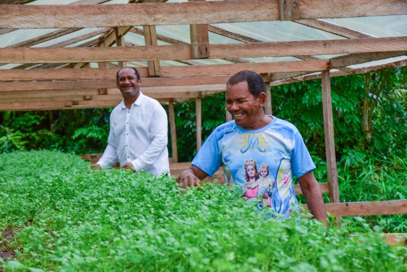 Imagens de apoio de produtores rurais do Quilombo do Abacatal, no Programa Territórios Sustentáveis em Ananindeua