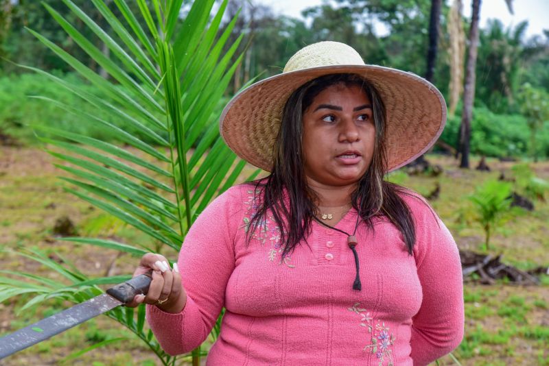 Imagens de apoio de produtores rurais do Quilombo do Abacatal, no Programa Territórios Sustentáveis em Ananindeua