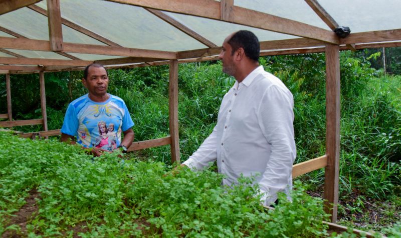 Imagens de apoio de produtores rurais do Quilombo do Abacatal, no Programa Territórios Sustentáveis em Ananindeua