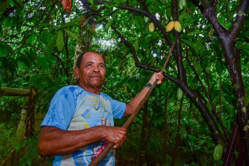 Imagens de apoio de produtores rurais do Quilombo do Abacatal, no Programa Territórios Sustentáveis em Ananindeua