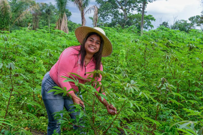 Imagens de apoio de produtores rurais do Quilombo do Abacatal, no Programa Territórios Sustentáveis em Ananindeua