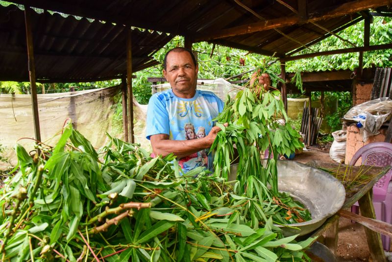 Imagens de apoio de produtores rurais do Quilombo do Abacatal, no Programa Territórios Sustentáveis em Ananindeua