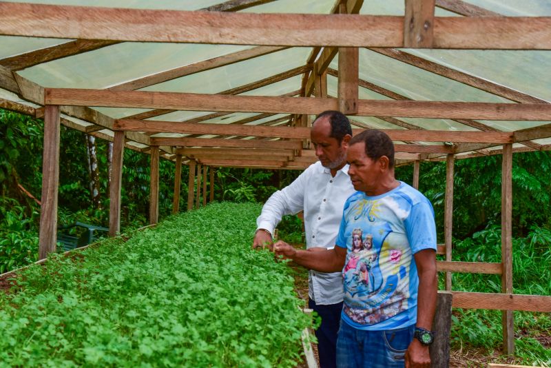 Imagens de apoio de produtores rurais do Quilombo do Abacatal, no Programa Territórios Sustentáveis em Ananindeua