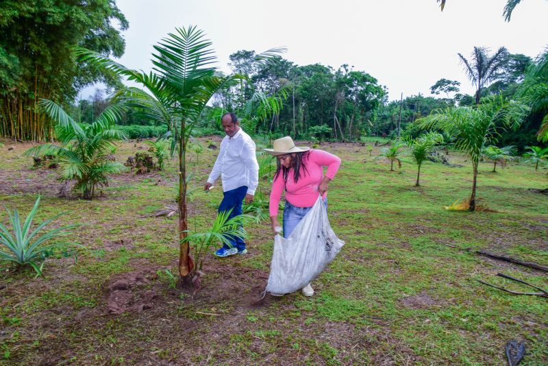 Imagens de apoio de produtores rurais do Quilombo do Abacatal, no Programa Territórios Sustentáveis em Ananindeua