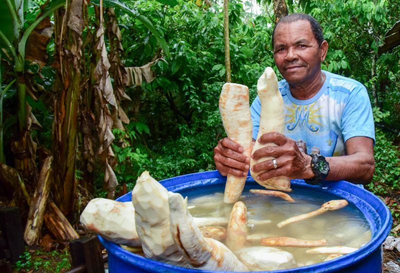 Imagens de apoio de produtores rurais do Quilombo do Abacatal, no Programa Territórios Sustentáveis em Ananindeua