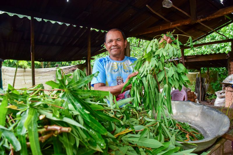 Imagens de apoio de produtores rurais do Quilombo do Abacatal, no Programa Territórios Sustentáveis em Ananindeua