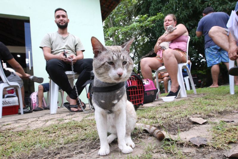 Castramóvel castração de animais no bairro de Águas Brancas