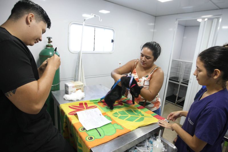 Castramóvel castração de animais no bairro de Águas Brancas