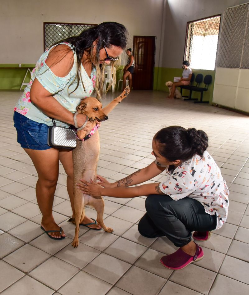 Castramóvel no Maguari, Paróquia Santa Maria Mãe de Deus, Programa Pet Amigo