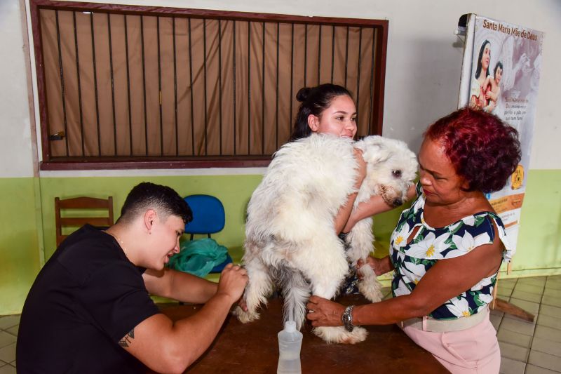 Castramóvel no Maguari, Paróquia Santa Maria Mãe de Deus, Programa Pet Amigo