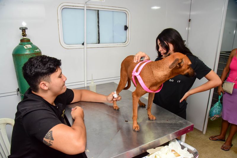 Ação do Castramovél no Programa Pet Amigo no bairro Centro