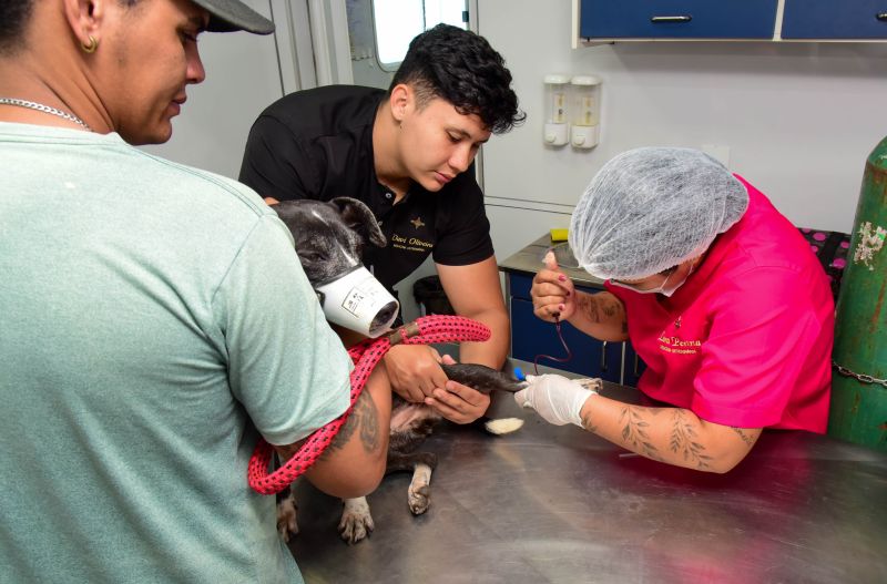 Ação do Castramovél no Programa Pet Amigo no bairro Centro