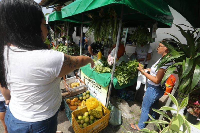 Feira da Agricultura Familiar e Povos Tradicionais de Ananindeua - Paróquia Santo Inácio no bairro Icuí