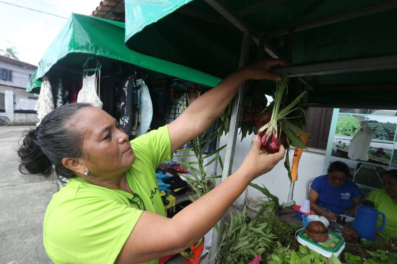 Feira da Agricultura Familiar e Povos Tradicionais de Ananindeua - Paróquia Santo Inácio no bairro Icuí