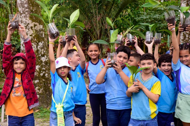 Semana do Meio Ambiente no Museu Parque Seringal na Cidade Nova Vlll