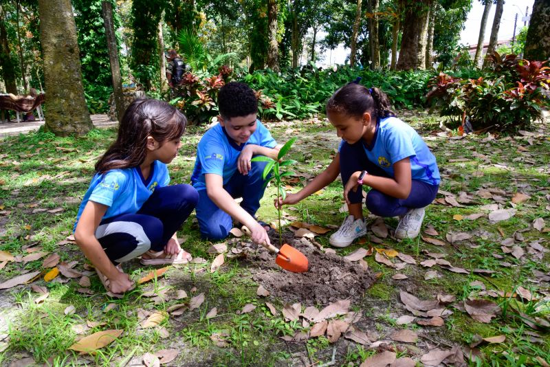 Semana do Meio Ambiente no Museu Parque Seringal na Cidade Nova Vlll