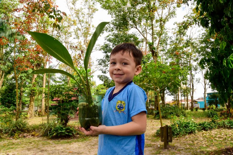 Semana do Meio Ambiente no Museu Parque Seringal na Cidade Nova Vlll