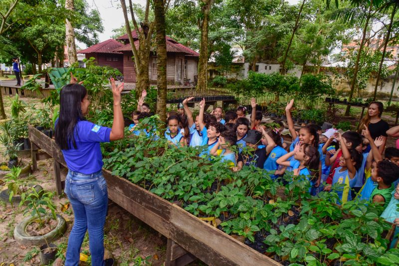 Semana do Meio Ambiente no Museu Parque Seringal na Cidade Nova Vlll